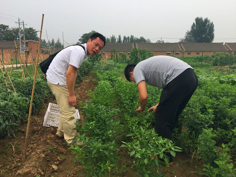 好利來郭總喊您來摘菜啦！綠色無公害，放心！